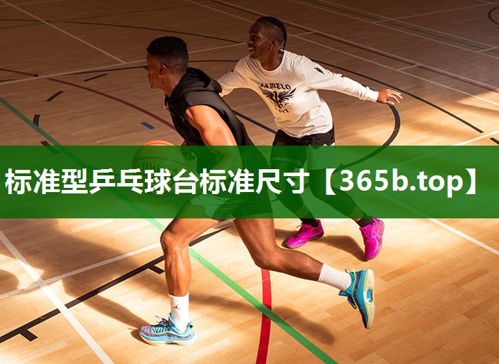 标准型乒乓球台标准尺寸 标准型乒乓球台标准尺寸