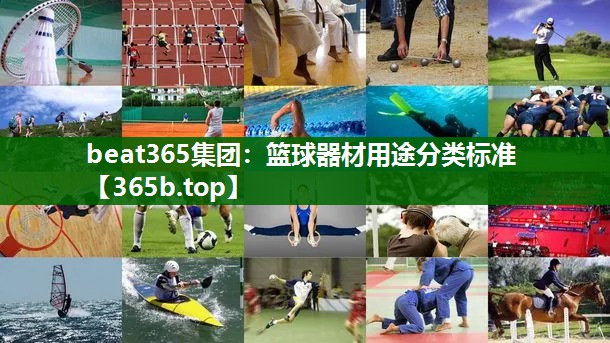 篮球器材用途分类标准 篮球器材用途分类标准