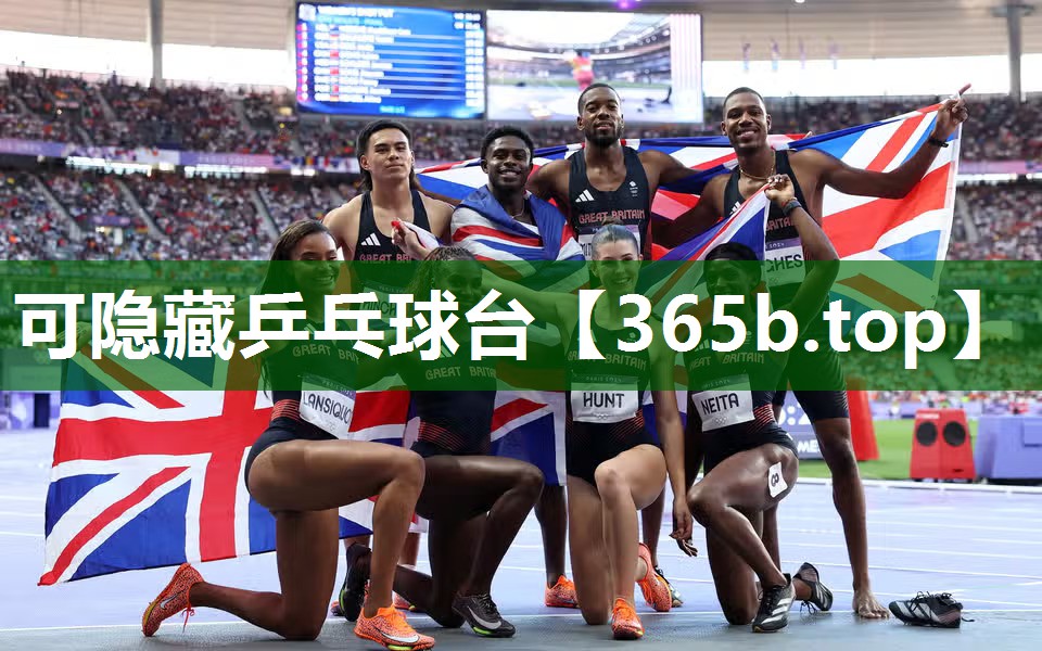 可隐藏乒乓球台 可隐藏乒乓球台