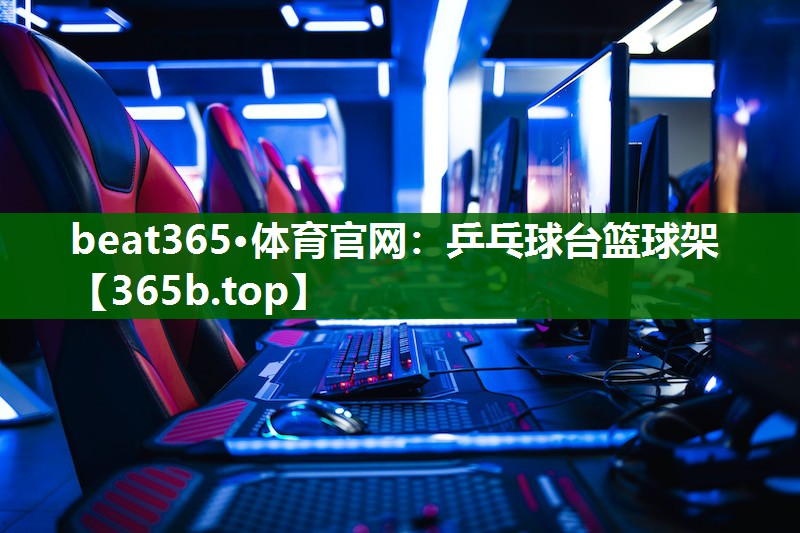 乒乓球台篮球架 乒乓球台篮球架