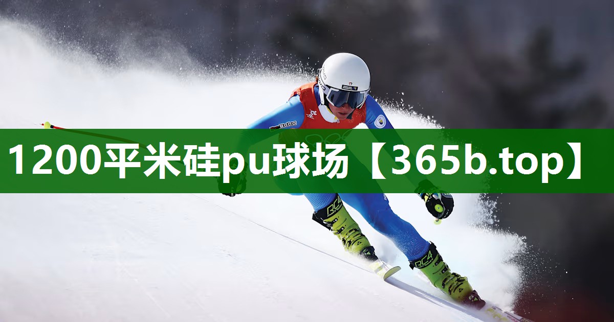 1200平米硅pu球场 1200平米硅pu球场