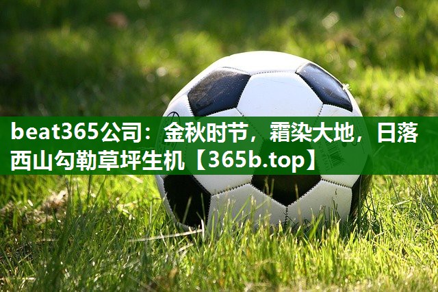 金秋时节,霜染大地,日落西山勾勒草坪生机 金秋时节,霜染大地,日落西山勾勒草坪生机