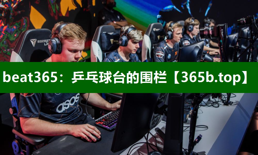 乒乓球台的围栏 乒乓球台的围栏