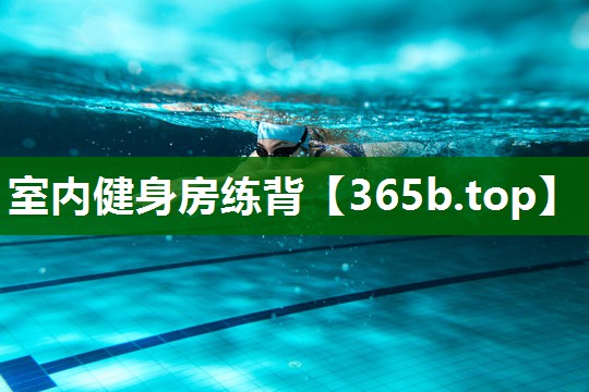 室内健身房练背